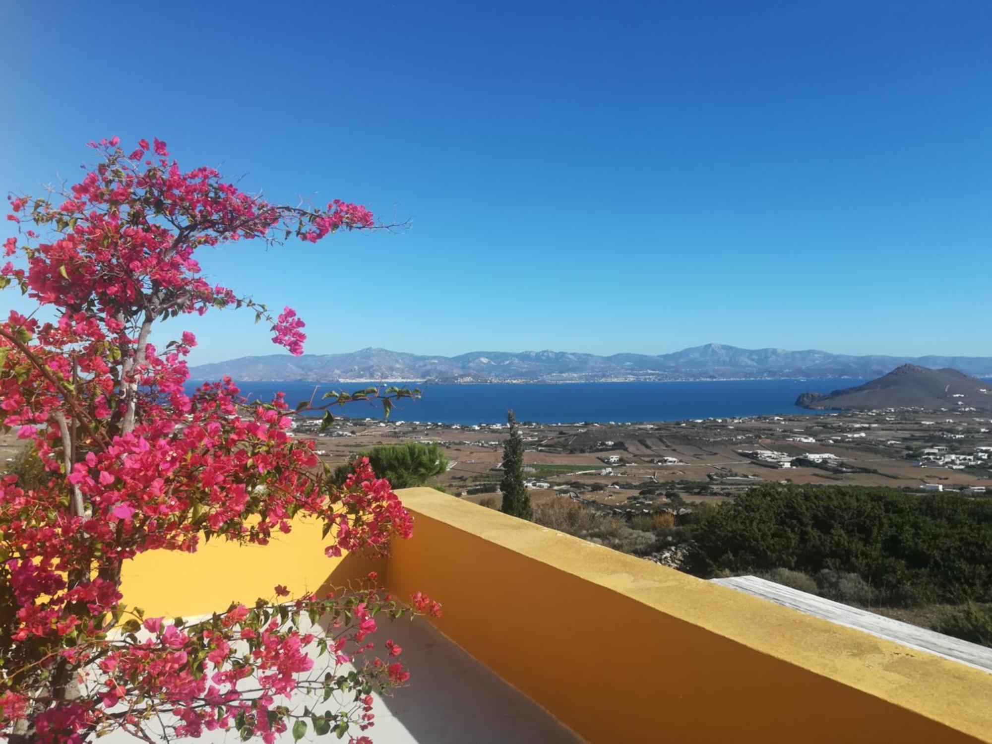 Bralos Villa - Paros, Sea View Kostos Exterior foto